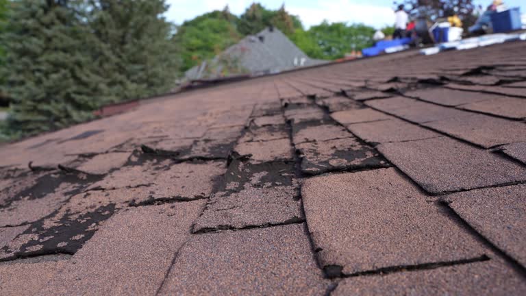 Best Hot Roofs  in USA